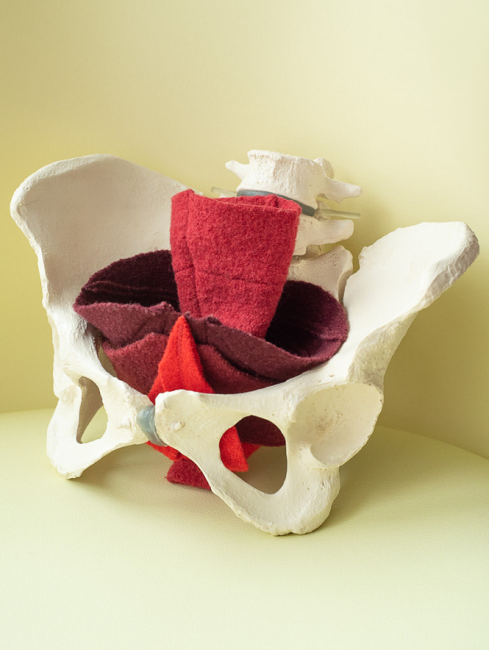 © Sebastian Herzog, www.shg-foto.de © Sebastian Herzog, www.shg-foto.de